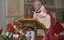 Nagovor domačega župnika Nagovor domačega župnika